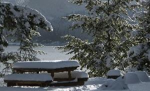 sous la neige
