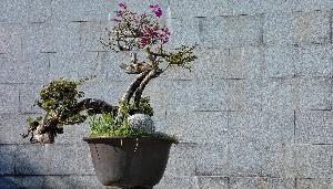 voyage en Chine