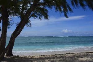 île Maurice