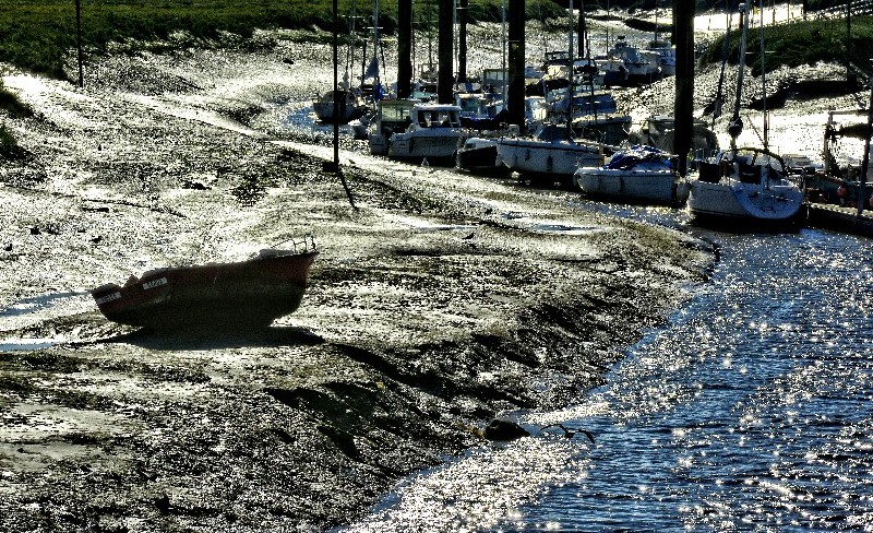 marée basse
