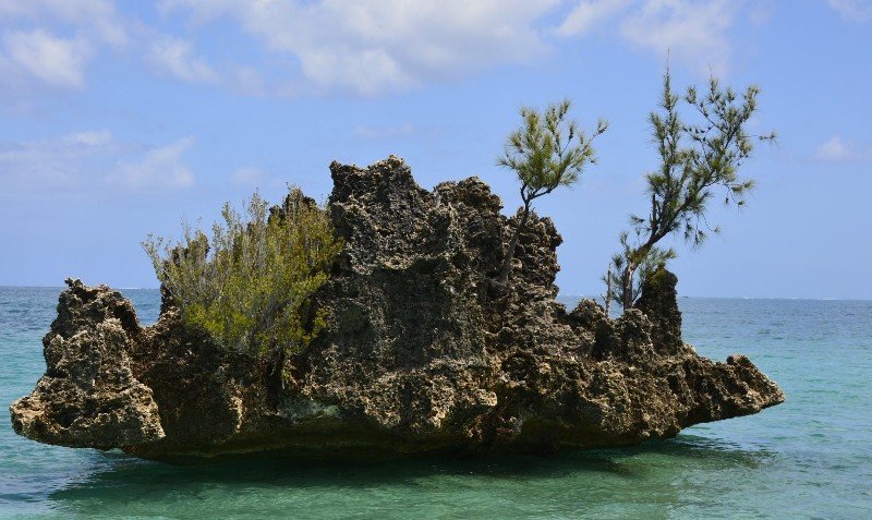 île du bénitier