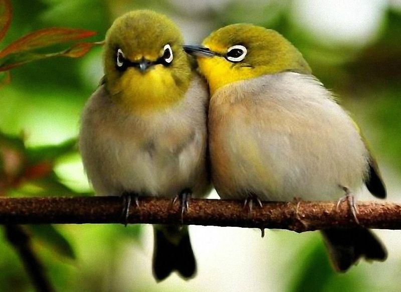 vie de couple