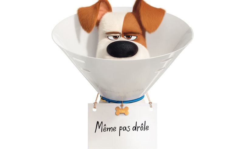 humour en image