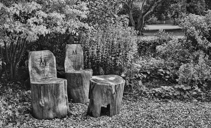 photographie en Noir et Blanc