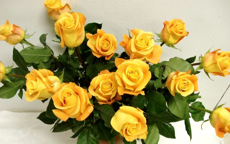 fleurs