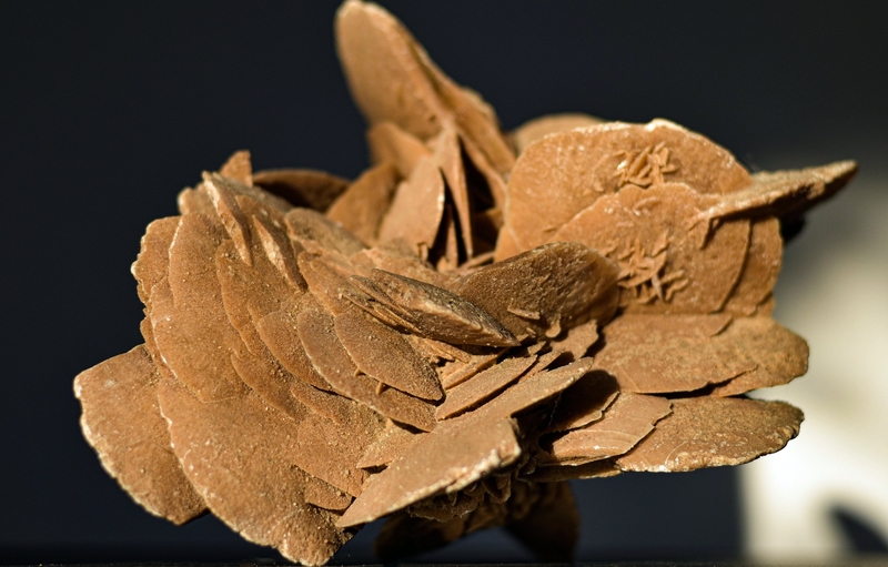 Rose des Sables