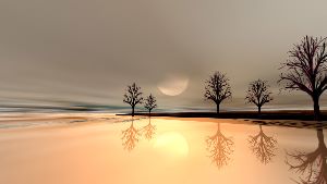 amazing wallpapers