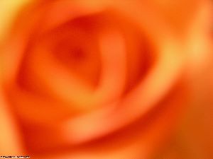 fonds et textures
