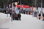 spectateurs, fonds d'écran, sports de glisse