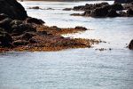 marée : fond d'écran,photo de plage en bretagne,paysage de france