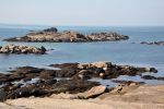 marée basse : fond d'écran,photo de plage en bretagne,paysage de france