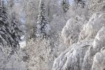 fonds d'écran,neige en montagne,photo hd, alpes, france