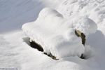 neige en montagne,  le banc: asseyez-vous !