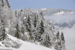 brume : fonds d'écran,neige en montagne, alpes, france