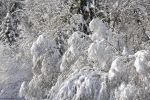 fonds d'écran,neige et blancheur,photo hd, alpes, france