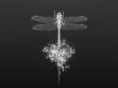 fonds-ecran_modernes_01