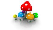 champignons, amazing wallpapers, fonds d'écran gratuits et HD