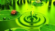 goutte, amazing wallpapers, fonds d'écran gratuits et HD