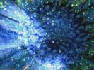 harmonie bleue: fonds d'écran,reflet métal