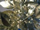 harmonie dorée: fonds d'écran,reflet métal