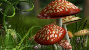 amanites tue-mouche : amazing wallpapers HD