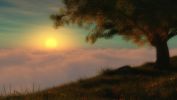 au pied de l'arbre : amazing wallpapers HD