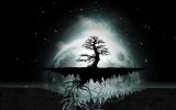bonzai volant, paysage imaginaire