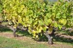 archeosite_les-rues-des-vignes_59258_france_vues-du-site_03