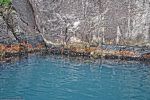 norvege_falaise-et-moules_dans-le-fjord_en-navigation