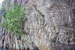 vegetation_falaise-et-rocher_fjord-en-norvege-decouverte