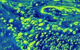 Mars_images-satellite_Martian_Mosaicl_photos-by-NASA-and-ESA_best-selection-photography