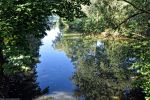 un petit coin d'eau et de paradis en plein centre ville