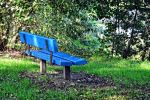 le banc bleu : la verdure, l'eau, la tranquilité