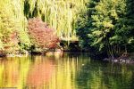 les couleurs de l'automne s'installent sur le plan d'eau
