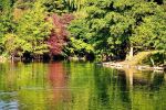 nature et calme : un fond d'écran qui vous reposera