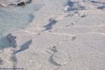 pamukkale_turquie_073