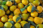 turquie : un étal de mandarines toutes fraîches