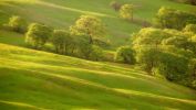 arbres-et-forets-en-pleine-nature_widescreen_09