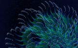 informatique-et-image-numerique_art-graphique_07