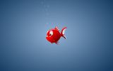 fonds-ecran-tablette_tactile-android-toutes-marques_09
