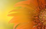 windows-wallpapers-free-HD-pictures_collection_09