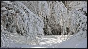 neige-panoramique-retouche-photo-pour-un-concours