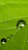 galaxy-fond-ecran-gratuit_6
