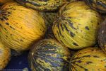les-derniers-produits-du-marche-en-direct-chez-vous-3