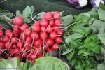 telecharger-les-derniers-produits-du-marche-en-direct-1