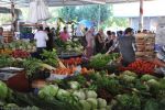 trouver-les-derniers-produits-du-marche-en-direct-1