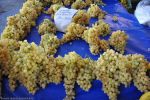 trouver-les-derniers-produits-du-marche-en-direct-2