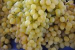 trouver-les-derniers-produits-du-marche-en-direct-3