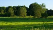 image-et-fonds-ecran-widescreen-arbres-telechargement-gratuit-1