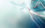fond-d-ecran-ordinateur-gratuit_1